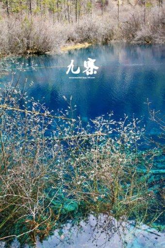 正当防卫